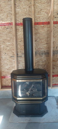 Regency gas fireplace    heater