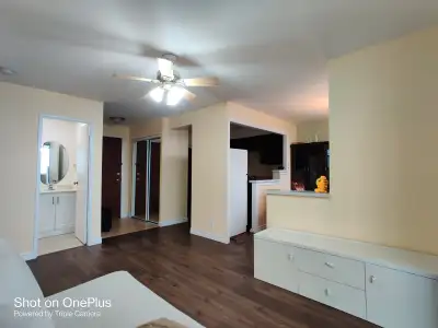 Two BDRM  Condo  in Downtown ( Chinatown )