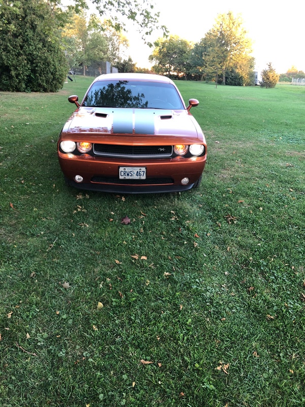 Dodge Challenger R/T Classic Cars Leamington Kijiji