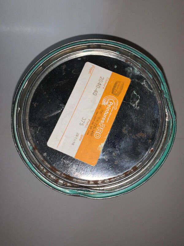 BENJAMIN MOOREECO SPEC PEINTURE LATEX/LATEX PAINTPEARL (C040