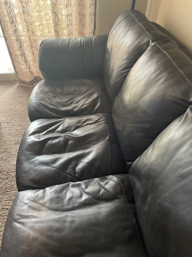 Free Leather Couch from The Brick in Free Stuff in Edmonton