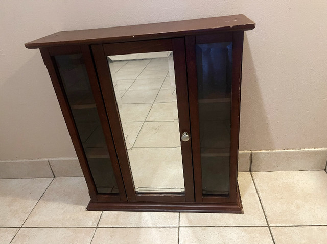 Mirror cabinet in Hutches & Display Cabinets in Windsor Region