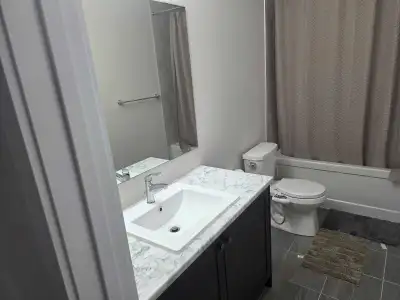 Basement for rent for vegetarian couples / professionals utilities included rent. comes with 1 parki...