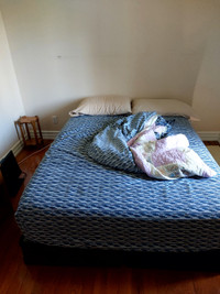 Room For Rent IN Stockdale  $750
