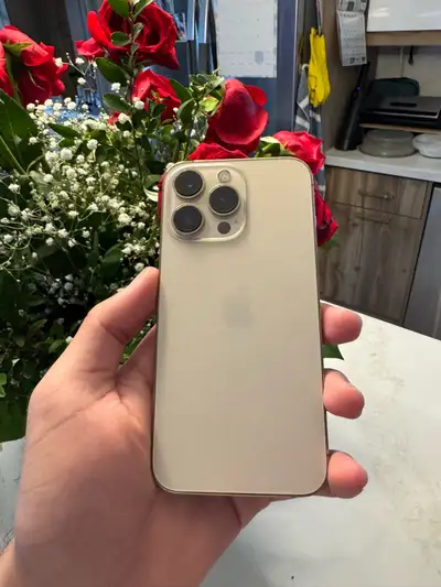 Apple iPhone 13 Pro 256GB GD 箱無し Apple iPhone 13 Pro 256GB Graphite Unlocked Renewed 6.1