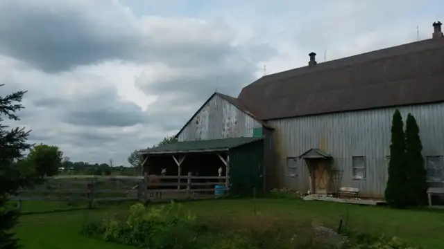 Horse boarding - Indoor in Animal & Pet Services in Ottawa - Image 8