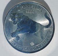 One oz Silver Cougar - Royal Canadian Mint