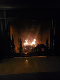 Fireplace Cover