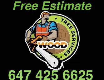 TREE SERVICES 65054407933571120