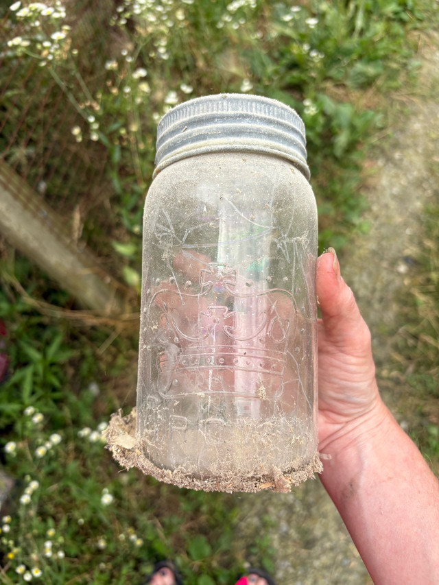 vintage mason jars  in Storage Containers in Chatham-Kent - Image 2