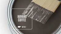 Behr Exterior Semi-gloss Enamel Paint in Havana Coffee colour