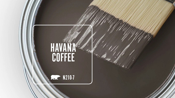 Behr Exterior Semi-gloss Enamel Paint in Havana Coffee colour dans Peinture et matériel  à Région de Mississauga/Peel