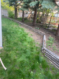 New grass . Interlicking - fence-Deck
