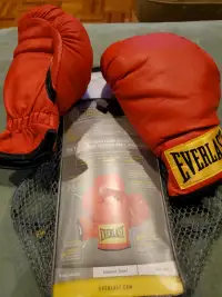 Youth novice boxing gloves 