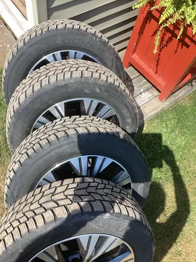 These come off a 2019 Nissan Rogue but will fit any Rogue and the Cooper snow ties are good for a fe...