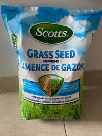 Gardening Grass Seeds 