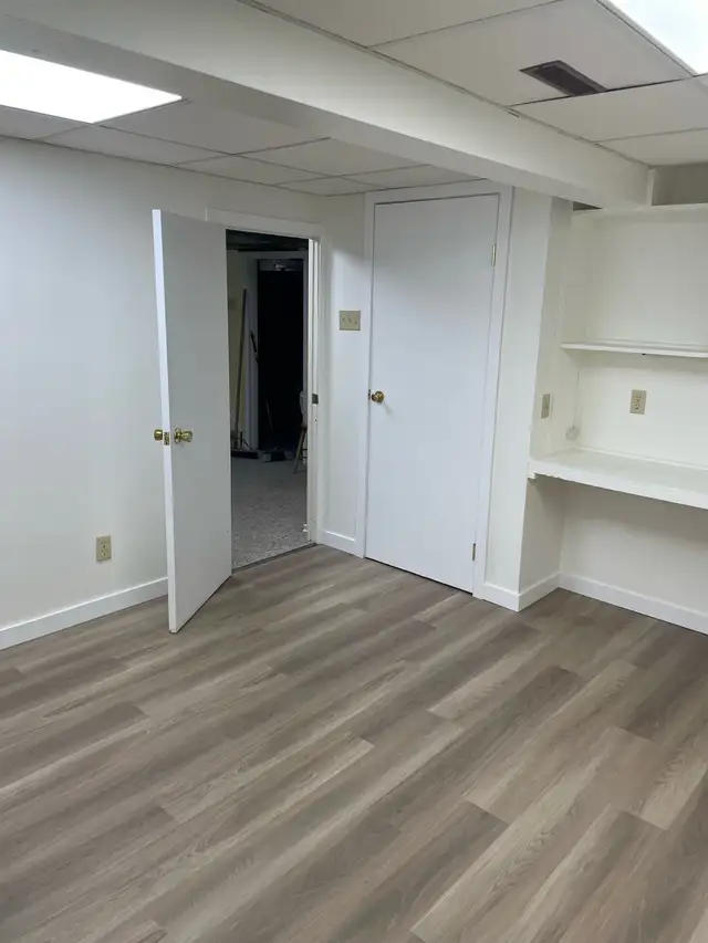 Experienced painter65561289442433123