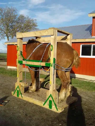 Horse shoeing  stocks, View more