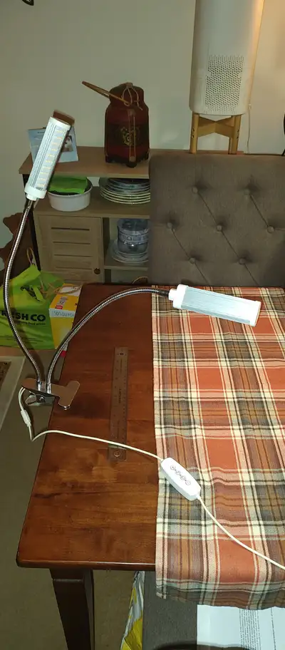 Plant lamp, View more