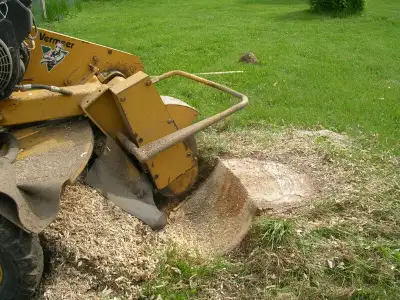 Stump Grinding, View more