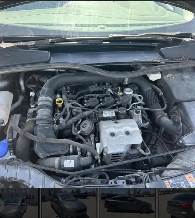 2017 Ford Focus SE536633606029987843