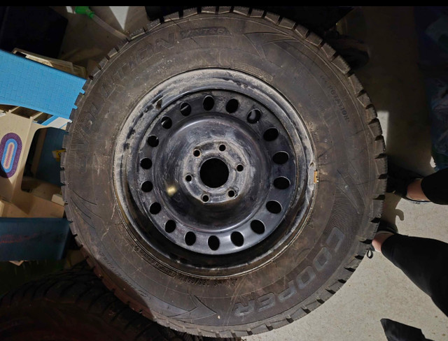 Cooper evolution winter tires in Tires & Rims in Barrie