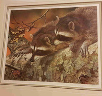 Carl Brenders - Double Trouble Raccoons