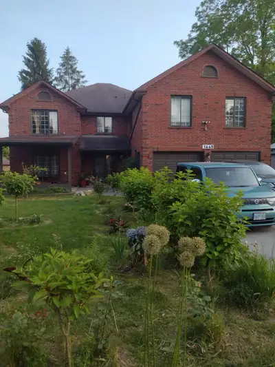 ROOM AVAILABLE -Male Student -Close to UTSC & Centennial College