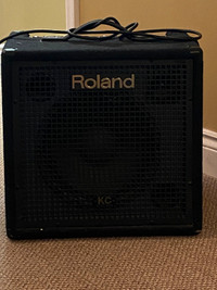 Roland amp
