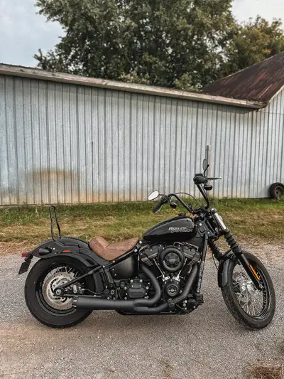 Harley Davidson Street Bob 2018 - 16 650 km - Moteur 107 - Pipe Bassani // j’ai encore les muffler d...