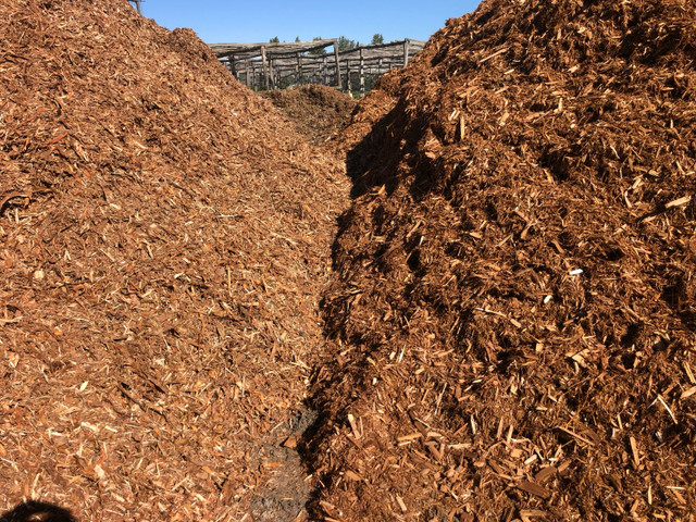 Premier Red Cedar Mulch - Landscaping in Plants, Fertilizer & Soil in Edmonton - Image 3