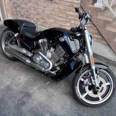 2011 Harley Davidson VROD MUSCLE Black with Punisher Airbrushing 31,000kms Clean Fresh Oil New Batte...