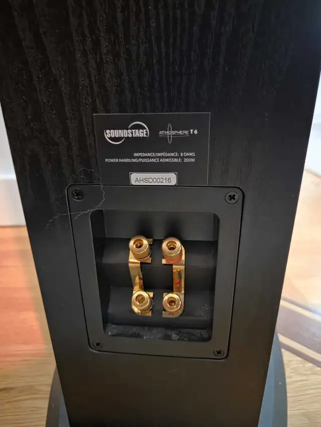 soundstage tower speakers in Stereo Systems & Home Theatre in Delta/Surrey/Langley - Image 4