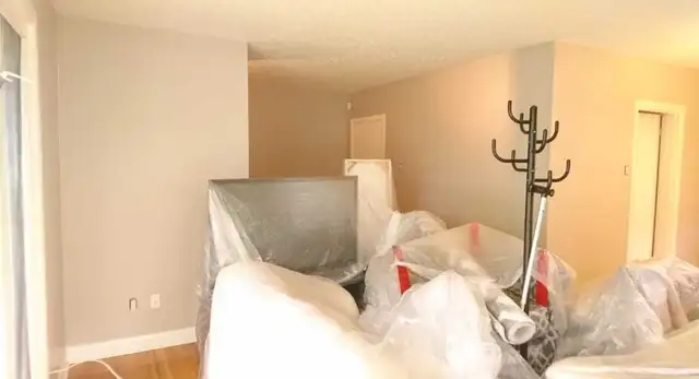 home painter