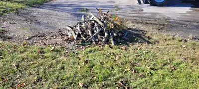 Free fire wood, View more