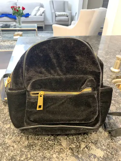 Velvet Mini Backpack Barely used Pickup in: Whitby (Brock & Taunton) Scarborough (Birchmount & Finch...