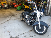 Looking for this 2008 fatboy