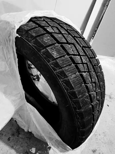 215/55R16 winter tires used like new 4 tires for $499 used for 1 month i sale my car so need to sale...