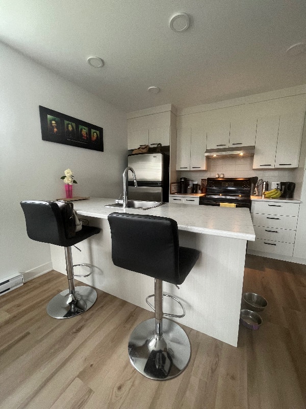 APPARTEMENT 3 1/2 à louer GROS CHIENS ACCEPTÉS !! Locations longue