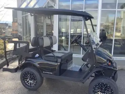 Over 25 different cart options in stock. New, used, gas or electric. EZGO and club car. We can custo...
