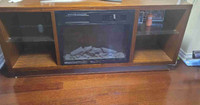Electric fire place 