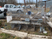 Rabbit cages and extras