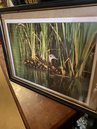 70 yr anniversary Ducks unlimited, View more