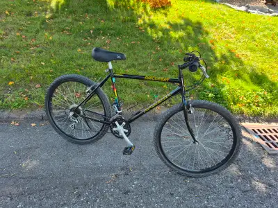 Raleigh Tuned mountain bicycle (19.5" frame), View more