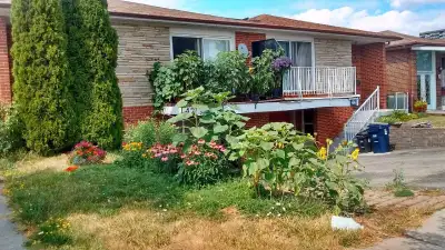 New floors, new carpets, new dishwasher and fridge, new convection oven and flat top stove, new wash...