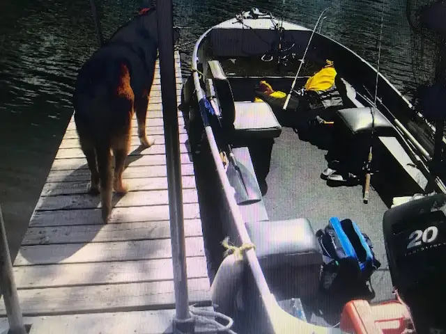 14' Fishing boat  for Classic in Powerboats & Motorboats in St. Catharines - Image 4
