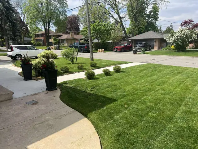 Grass cutting/ lawn mowing service63235119944833127