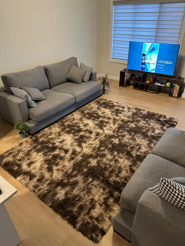 Area Rug