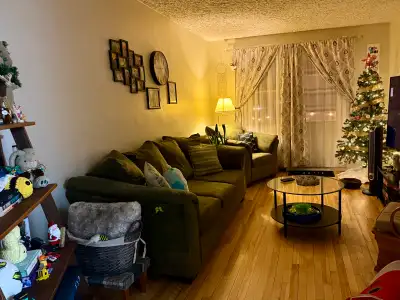 Hello - 1 large private furnished bedroom in a 2 bedroom 1 bath apartment, with spacious closet. The...