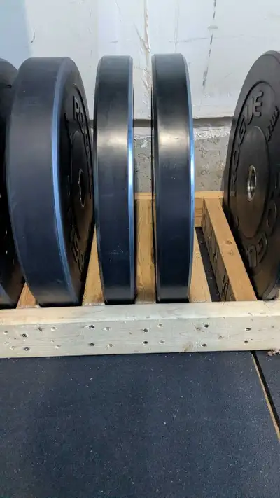 rogue 35lbs mil spec echo bumper plates, View more